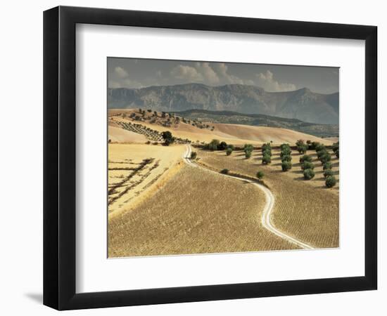 Landscape Near Jaen, Andalucia, Spain-Michael Busselle-Framed Photographic Print