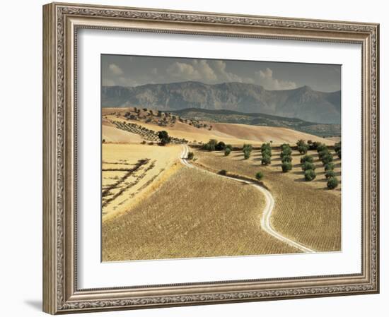 Landscape Near Jaen, Andalucia, Spain-Michael Busselle-Framed Photographic Print