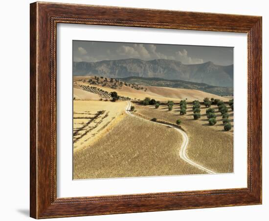 Landscape Near Jaen, Andalucia, Spain-Michael Busselle-Framed Photographic Print
