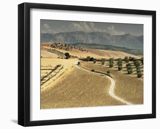 Landscape Near Jaen, Andalucia, Spain-Michael Busselle-Framed Photographic Print