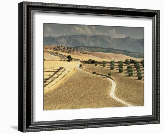 Landscape Near Jaen, Andalucia, Spain-Michael Busselle-Framed Photographic Print