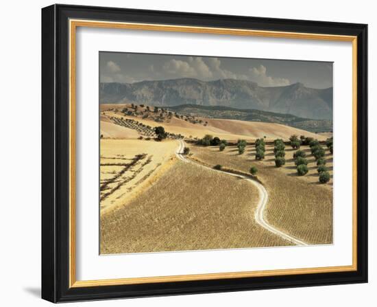 Landscape Near Jaen, Andalucia, Spain-Michael Busselle-Framed Photographic Print