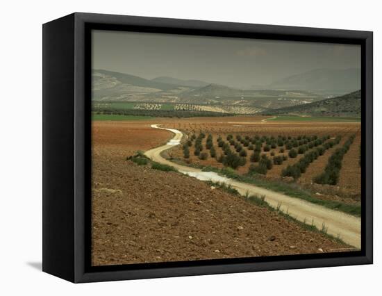 Landscape Near Jaen, Andalucia, Spain-Michael Busselle-Framed Premier Image Canvas