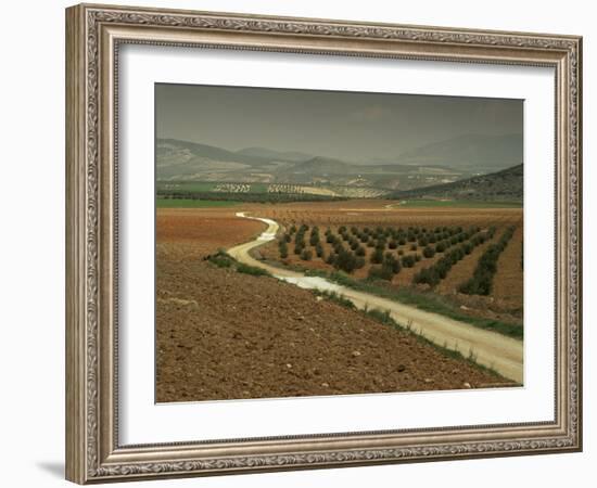 Landscape Near Jaen, Andalucia, Spain-Michael Busselle-Framed Photographic Print