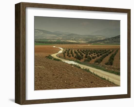 Landscape Near Jaen, Andalucia, Spain-Michael Busselle-Framed Photographic Print