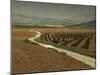 Landscape Near Jaen, Andalucia, Spain-Michael Busselle-Mounted Photographic Print