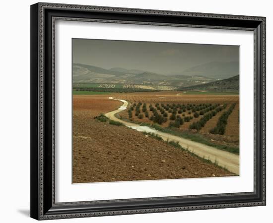 Landscape Near Jaen, Andalucia, Spain-Michael Busselle-Framed Photographic Print