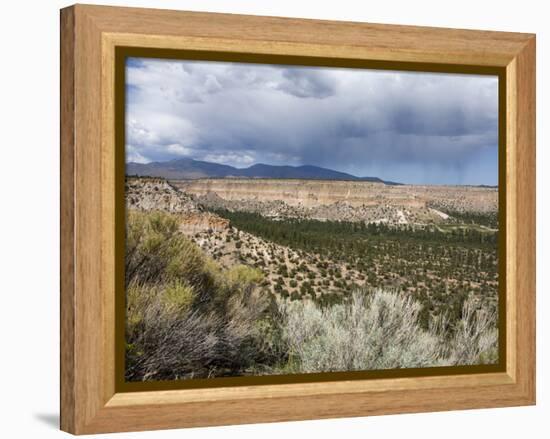 Landscape Near Los Alamos, New Mexico, United States of America, North America-Richard Cummins-Framed Premier Image Canvas
