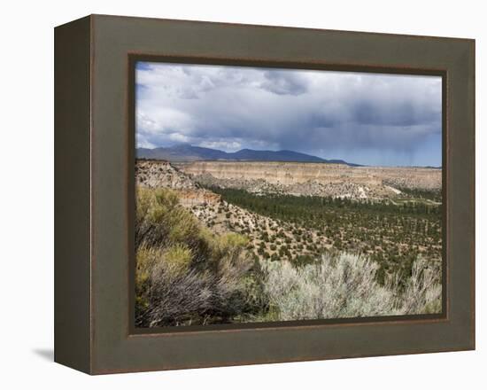 Landscape Near Los Alamos, New Mexico, United States of America, North America-Richard Cummins-Framed Premier Image Canvas