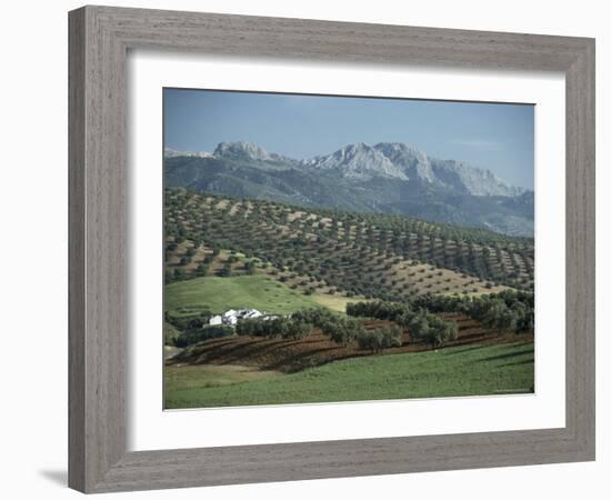 Landscape Near Malaga, Andalucia, Spain-Adam Woolfitt-Framed Photographic Print