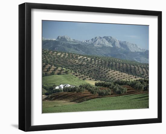 Landscape Near Malaga, Andalucia, Spain-Adam Woolfitt-Framed Photographic Print