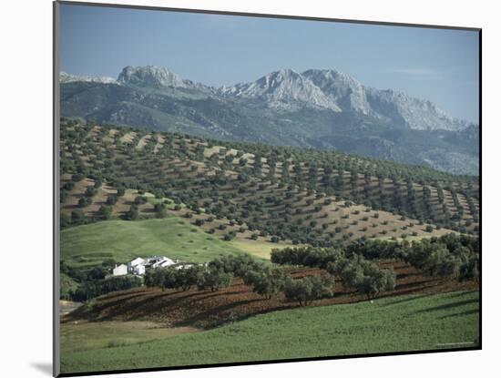 Landscape Near Malaga, Andalucia, Spain-Adam Woolfitt-Mounted Photographic Print