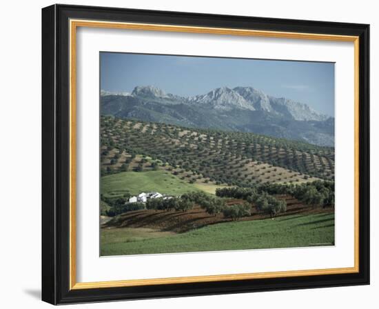 Landscape Near Malaga, Andalucia, Spain-Adam Woolfitt-Framed Photographic Print