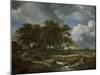 Landscape Near Muiderberg, Early 1650s-Jacob van Ruisdael-Mounted Giclee Print