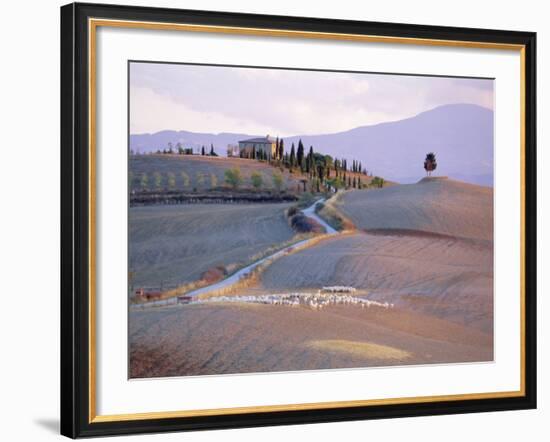 Landscape Near Pienza, Siena Province, Tuscany, Italy-Bruno Morandi-Framed Photographic Print