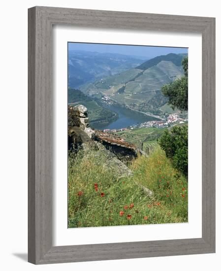 Landscape Near Pinhao, Douro Region, Portugal, Europe-Robert Harding-Framed Photographic Print