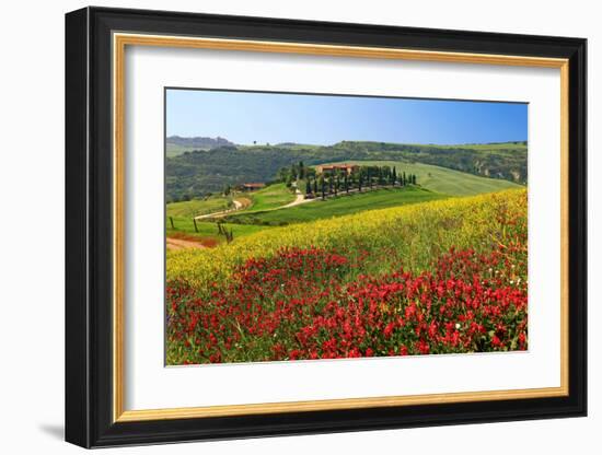 Landscape near San Quirico d'Orcia, Val d'Orca, Province of Siena, Tuscany, Italy-null-Framed Art Print