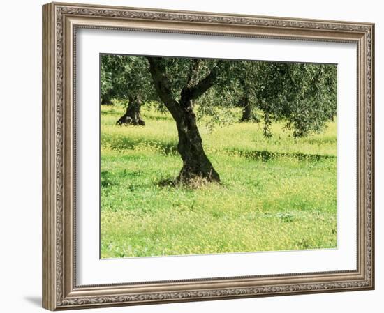 Landscape Near Trujillo, Caceres, Extremadura, Spain-Michael Busselle-Framed Photographic Print