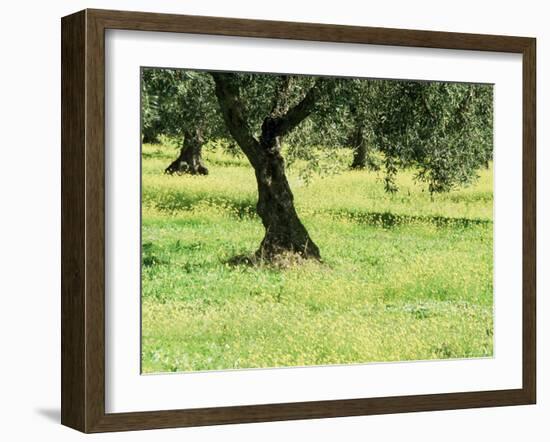 Landscape Near Trujillo, Caceres, Extremadura, Spain-Michael Busselle-Framed Photographic Print