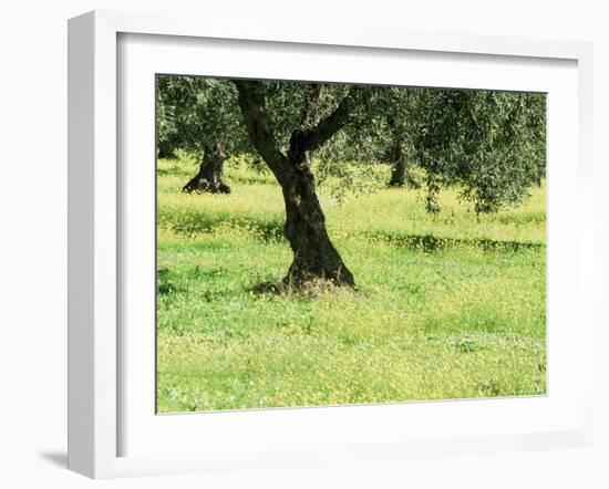 Landscape Near Trujillo, Caceres, Extremadura, Spain-Michael Busselle-Framed Photographic Print