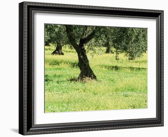 Landscape Near Trujillo, Caceres, Extremadura, Spain-Michael Busselle-Framed Photographic Print