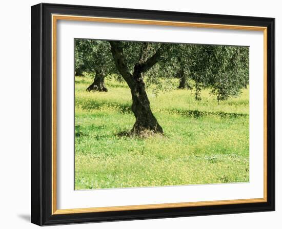 Landscape Near Trujillo, Caceres, Extremadura, Spain-Michael Busselle-Framed Photographic Print