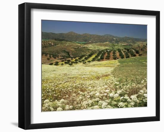 Landscape Near Velez Malaga, Andalucia, Spain-Michael Busselle-Framed Photographic Print