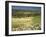 Landscape Near Velez Malaga, Andalucia, Spain-Michael Busselle-Framed Photographic Print