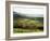 Landscape Near Wincle, Cheshire, England, United Kingdom-Jonathan Hodson-Framed Photographic Print