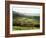 Landscape Near Wincle, Cheshire, England, United Kingdom-Jonathan Hodson-Framed Photographic Print