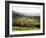 Landscape Near Wincle, Cheshire, England, United Kingdom-Jonathan Hodson-Framed Photographic Print