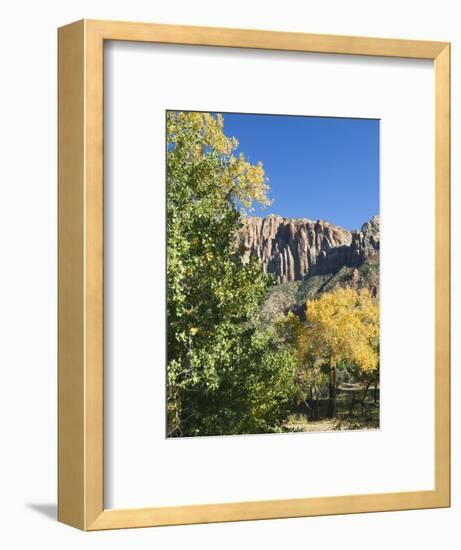 Landscape Near Zion National Park, Utah, United States of America, North America-Robert Harding-Framed Photographic Print