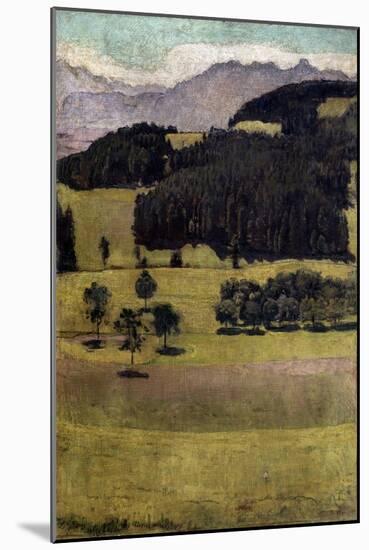 Landscape, Oaks at Stockhorn, 1898 (Oil on Canvas)-Ferdinand Hodler-Mounted Giclee Print