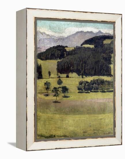 Landscape, Oaks at Stockhorn, 1898-Ferdinand Hodler-Framed Premier Image Canvas