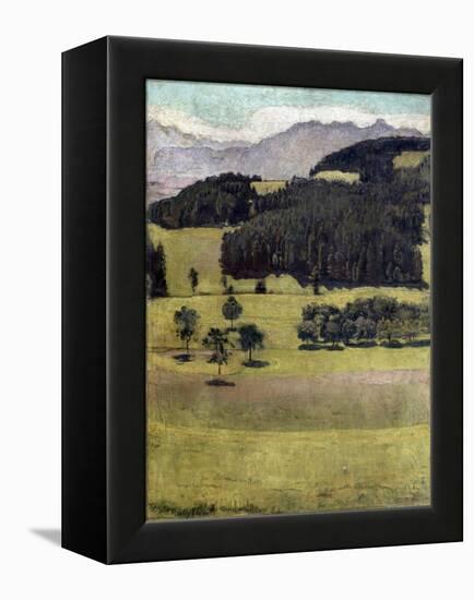 Landscape, Oaks at Stockhorn, 1898-Ferdinand Hodler-Framed Premier Image Canvas