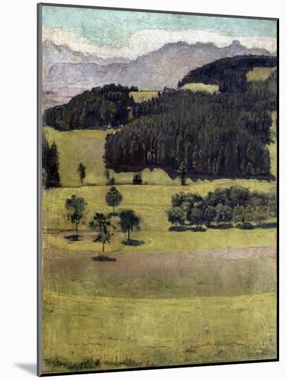 Landscape, Oaks at Stockhorn, 1898-Ferdinand Hodler-Mounted Giclee Print