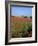 Landscape of a Field of Red Poppies in Flower in Summer, Near Beauvais, Picardie, France-Thouvenin Guy-Framed Photographic Print