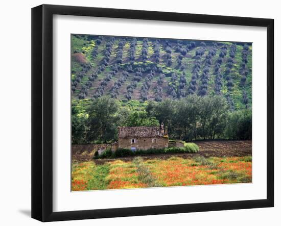 Landscape of Andalucia, Spain-Peter Adams-Framed Photographic Print