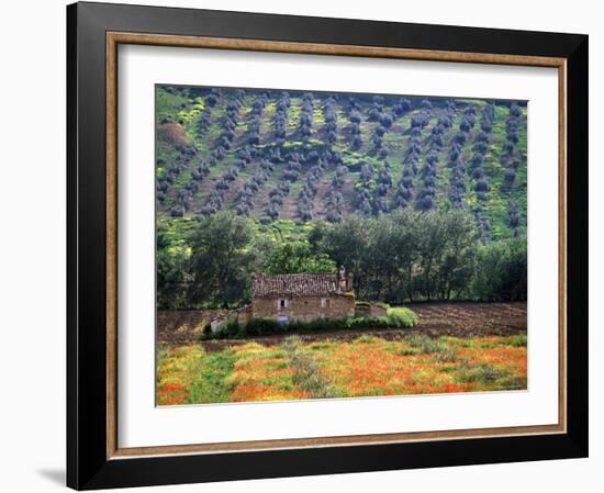 Landscape of Andalucia, Spain-Peter Adams-Framed Photographic Print