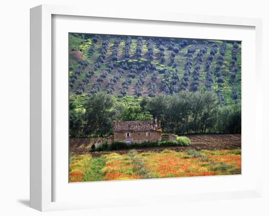 Landscape of Andalucia, Spain-Peter Adams-Framed Photographic Print