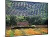 Landscape of Andalucia, Spain-Peter Adams-Mounted Photographic Print