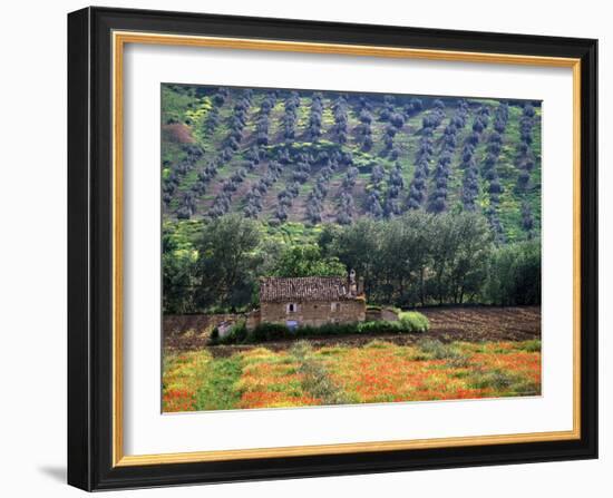 Landscape of Andalucia, Spain-Peter Adams-Framed Photographic Print