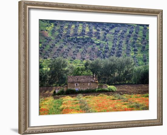 Landscape of Andalucia, Spain-Peter Adams-Framed Photographic Print