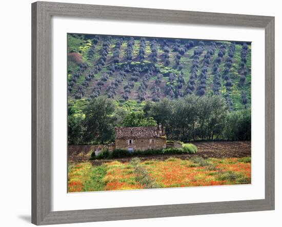 Landscape of Andalucia, Spain-Peter Adams-Framed Photographic Print