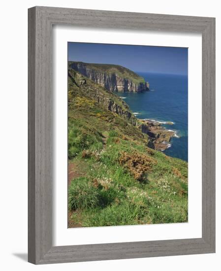 Landscape of Cliffs Along the Coastline at Cap Frehel, Cote D'Emeraude, in Brittany, France, Europe-Michael Busselle-Framed Photographic Print