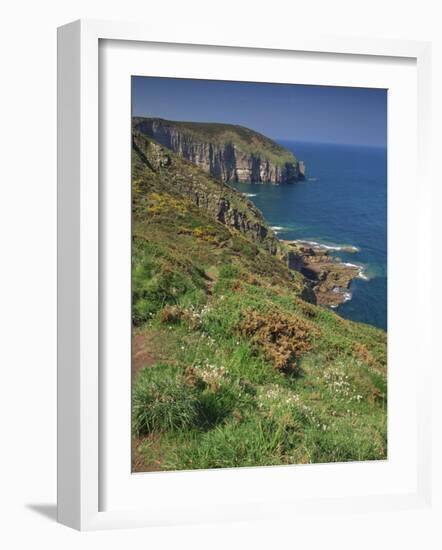 Landscape of Cliffs Along the Coastline at Cap Frehel, Cote D'Emeraude, in Brittany, France, Europe-Michael Busselle-Framed Photographic Print