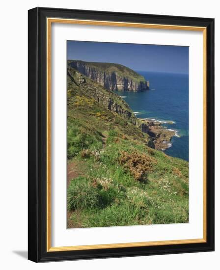 Landscape of Cliffs Along the Coastline at Cap Frehel, Cote D'Emeraude, in Brittany, France, Europe-Michael Busselle-Framed Photographic Print