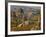 Landscape of Fairy Chimneys, Cappadocia, Turkey-Joe Restuccia III-Framed Photographic Print