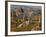 Landscape of Fairy Chimneys, Cappadocia, Turkey-Joe Restuccia III-Framed Photographic Print