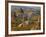 Landscape of Fairy Chimneys, Cappadocia, Turkey-Joe Restuccia III-Framed Photographic Print